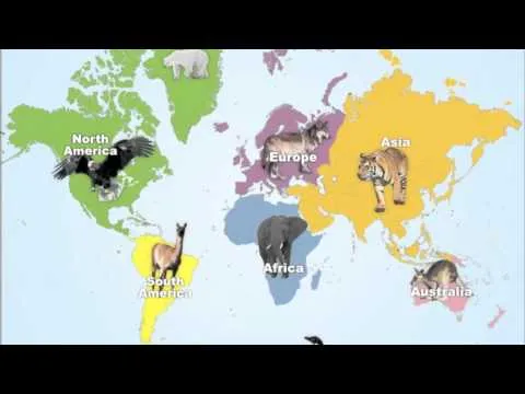 Mapas del Mundo para los Niños - YouTube