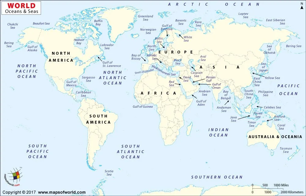 Mappe del Mondo ▷ le 22 Cartine che Spiegano il Mondo