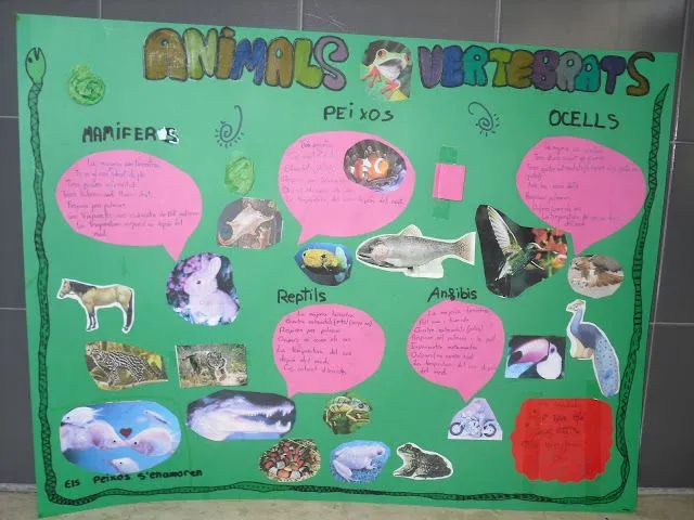Pinceladas de ilusión: MURALES ANIMALES VERTEBRADOS Pinceladas de ilusión: MURALES ANIMALES VERTEBRADOS