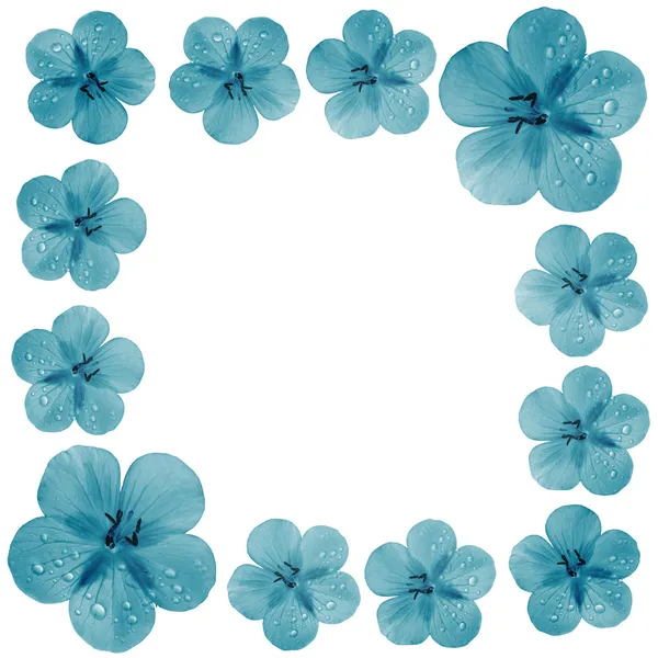 Marco de flores azules con espacio en blanco — Foto stock ...