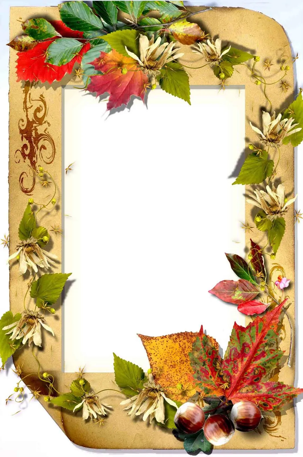 Marcos creativos para tus fotos: Marco floral en .png Marcos creativos para tus fotos: Marco floral en .png