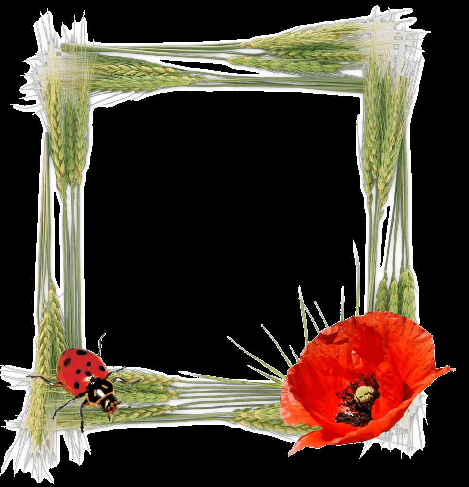 Marcos para Fotos Png, Variados Diseños. | Marcos Gratis para ... Marcos para Fotos Png, Variados Diseños. | Marcos Gratis para ...