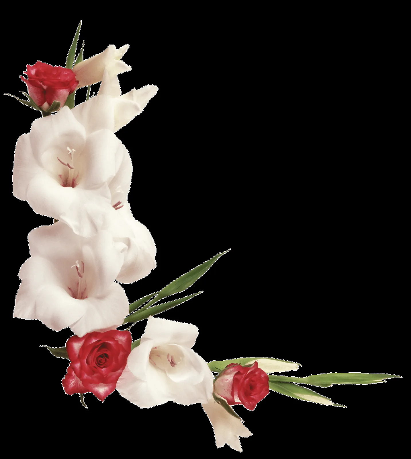 MARCOS GRATIS PARA FOTOS: FLORES PNG, RAMOS, ETC, RENDERS MARCOS GRATIS PARA FOTOS: FLORES PNG, RAMOS, ETC, RENDERS