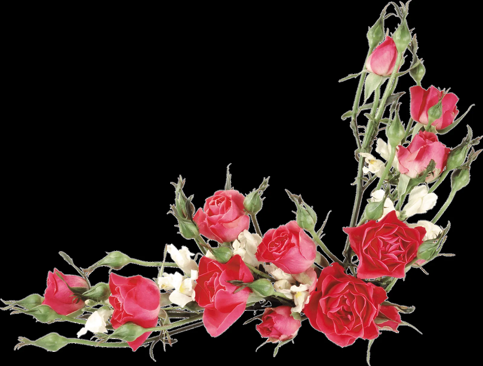 MARCOS GRATIS PARA FOTOS: FLORES PNG, RAMOS, ETC, RENDERS MARCOS GRATIS PARA FOTOS: FLORES PNG, RAMOS, ETC, RENDERS