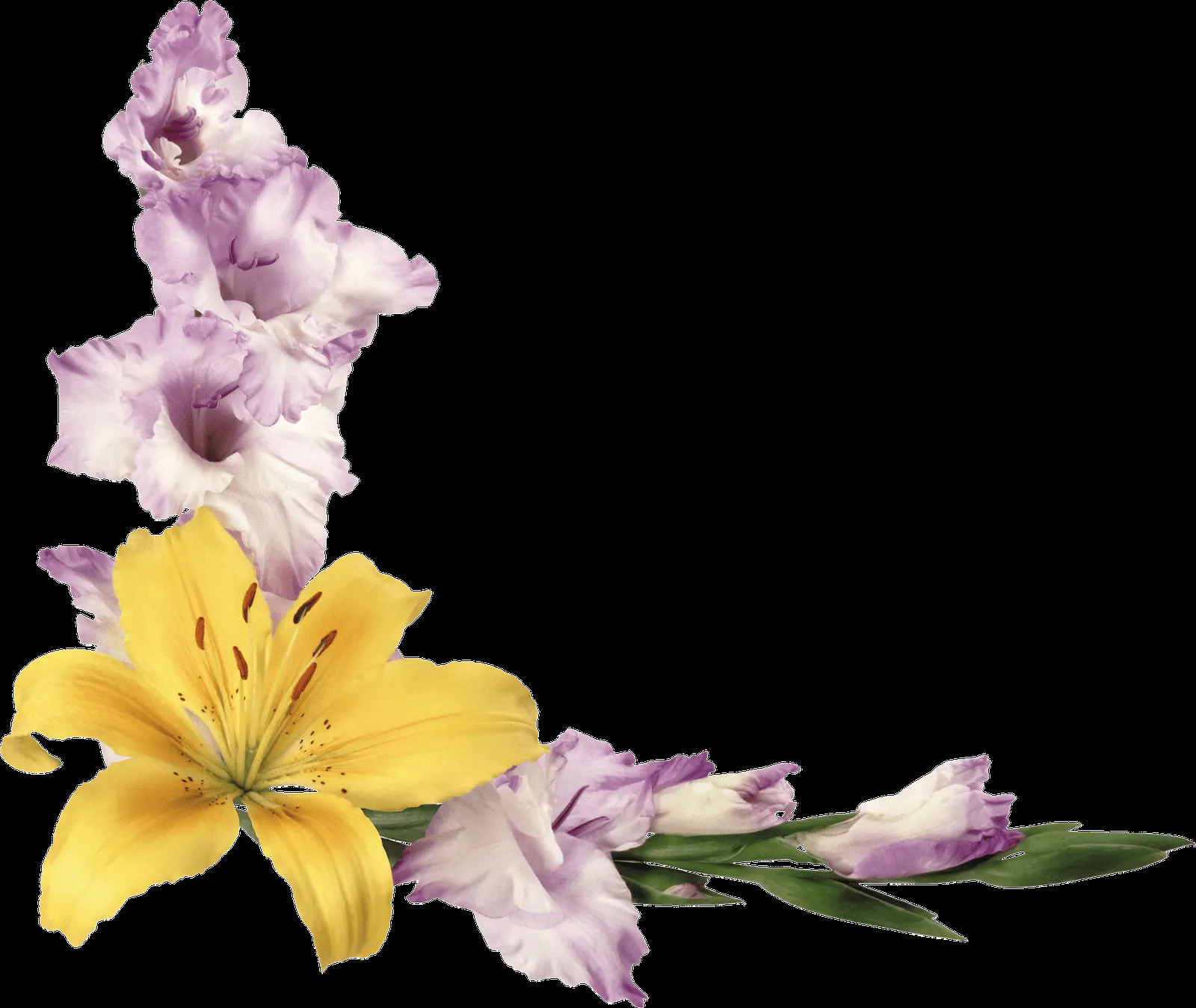 MARCOS GRATIS PARA FOTOS: FLORES PNG, RENDERS DE FLORES, MARCOS GRATIS PARA FOTOS: FLORES PNG, RENDERS DE FLORES,