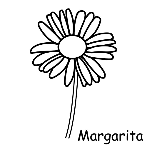 Flor para colorear margarita - Imagui