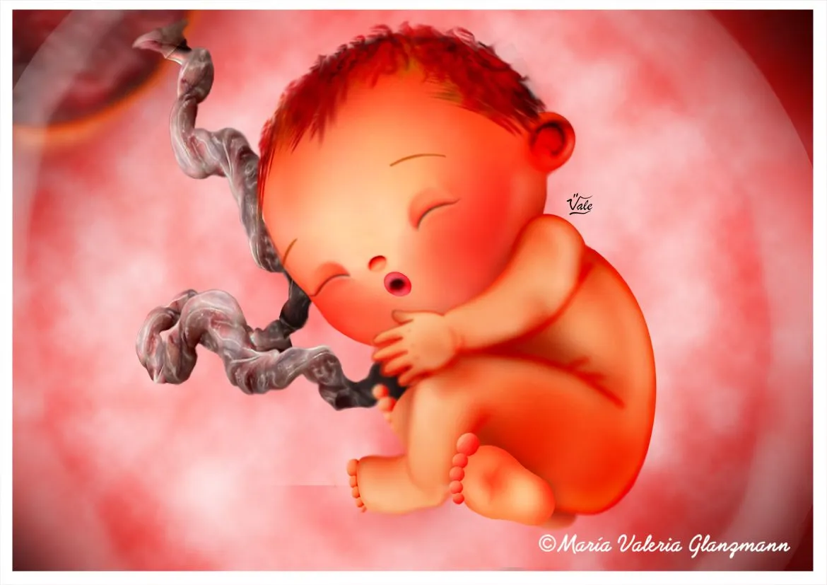 Dibujos de bebés en el vientre - Imagui