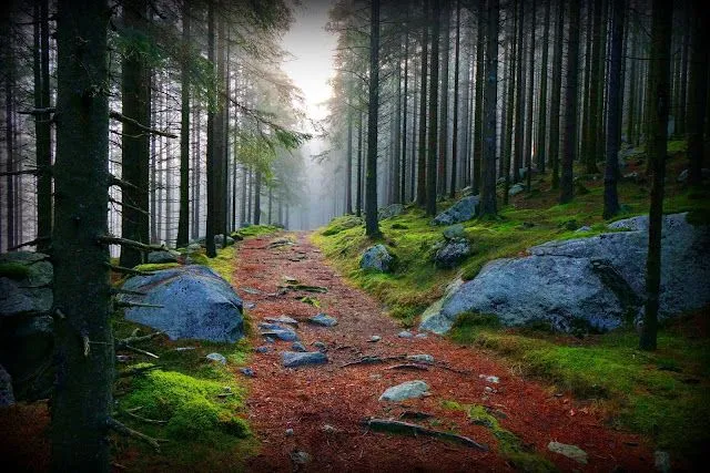 MariaJose: Fondos de pantalla con bellos rincones de la naturaleza MariaJose: Fondos de pantalla con bellos rincones de la naturaleza