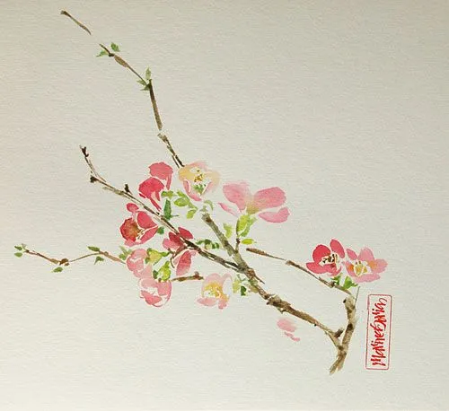 Dibujo flor de cerezo - Imagui