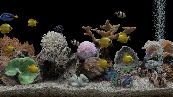 Marine Aquarium 3.2 - Aplicaciones de Android en Google Play