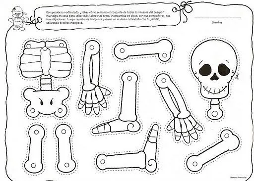 Marionetas de esqueleto para colorear | Manualidades Infantiles | Skeleton  craft, Halloween preschool, Halloween activities