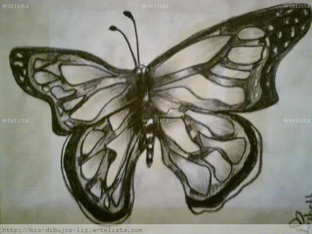 Mariposas dibujo a lapiz - Imagui