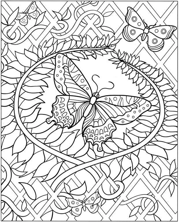 mariposa | Dibujos para colorear | Pinterest