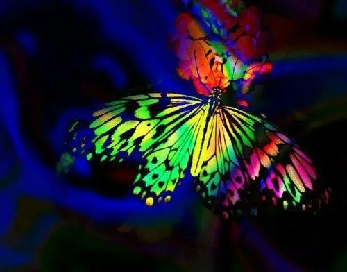 Mariposa psicodelica | Colores... | Pinterest