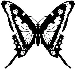 Mariposa vector Vector de animales - vectores gratis para su ...