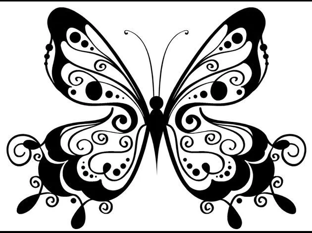 Fotos mariposas blanco y negro - Imagui