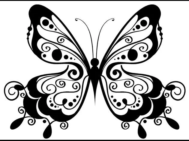 Fotos mariposas blanco y negro - Imagui Fotos mariposas blanco y negro - Imagui