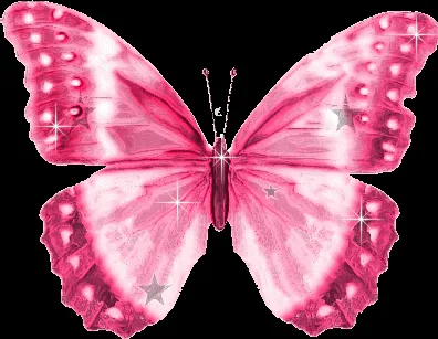 Mariposas brillantes con movimiento - Imagui