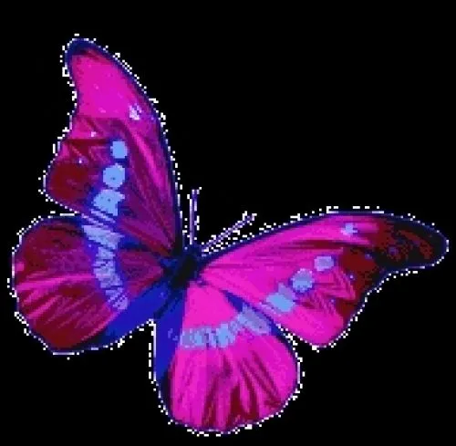 Imagenes de mariposas hermosas con movimiento - Imagui