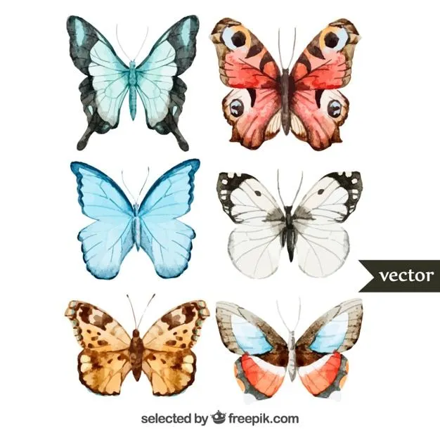 Mariposas De Colores | Fotos y Vectores gratis