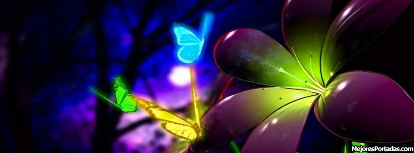 Mariposas colores - ÷ Las Mejores Portadas para tu perfil de ...