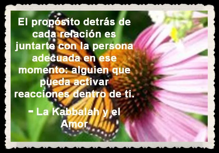 MARIPOSAS I (PENSAMIENTOS, Y FRASES) | FANNY JEM WONG MARIPOSAS I (PENSAMIENTOS, Y FRASES) | FANNY JEM WONG