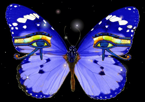 Imagenes mariposas movimiento - Imagui