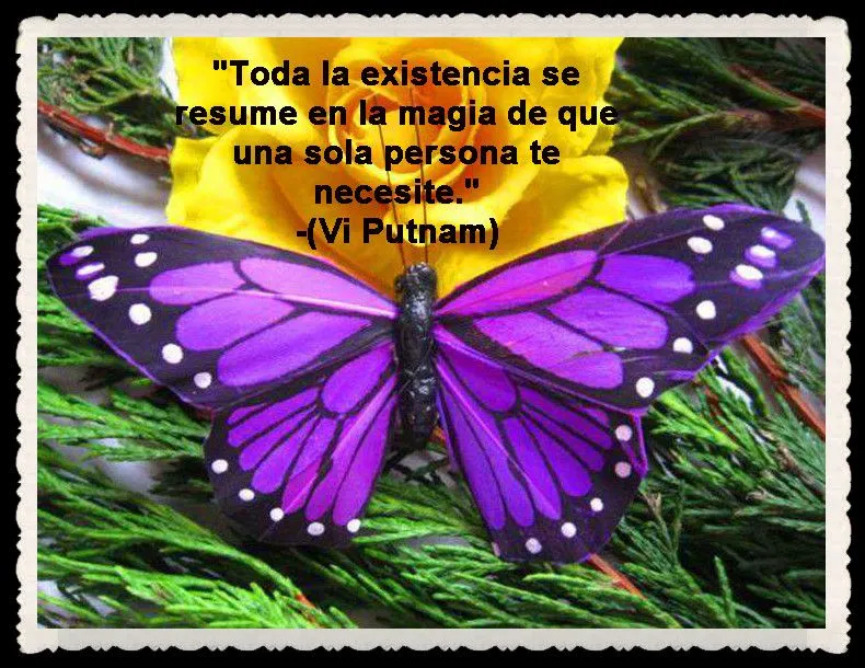 MARIPOSAS I (PENSAMIENTOS, Y FRASES) | FANNY JEM WONG MARIPOSAS I (PENSAMIENTOS, Y FRASES) | FANNY JEM WONG