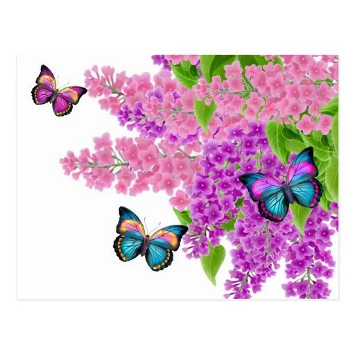 Mariposas en la postal de las lilas | Zazzle