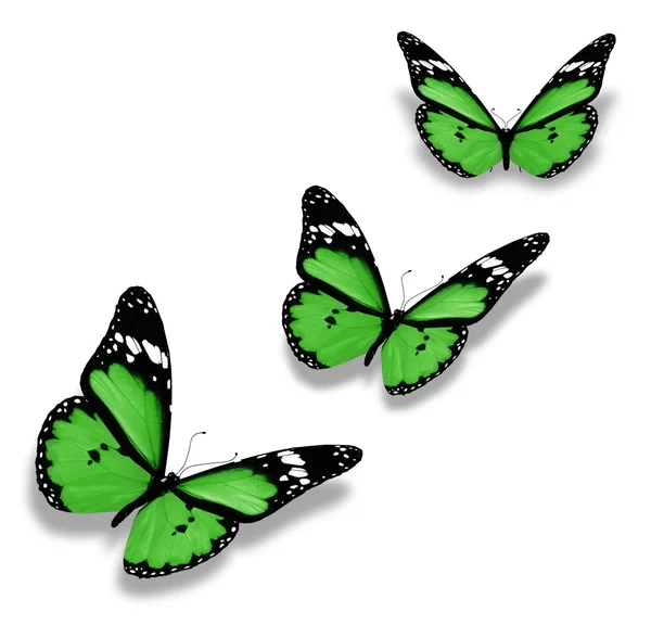 tres mariposas verdes, aisladas en blanco — Foto stock © sun_tiger ...