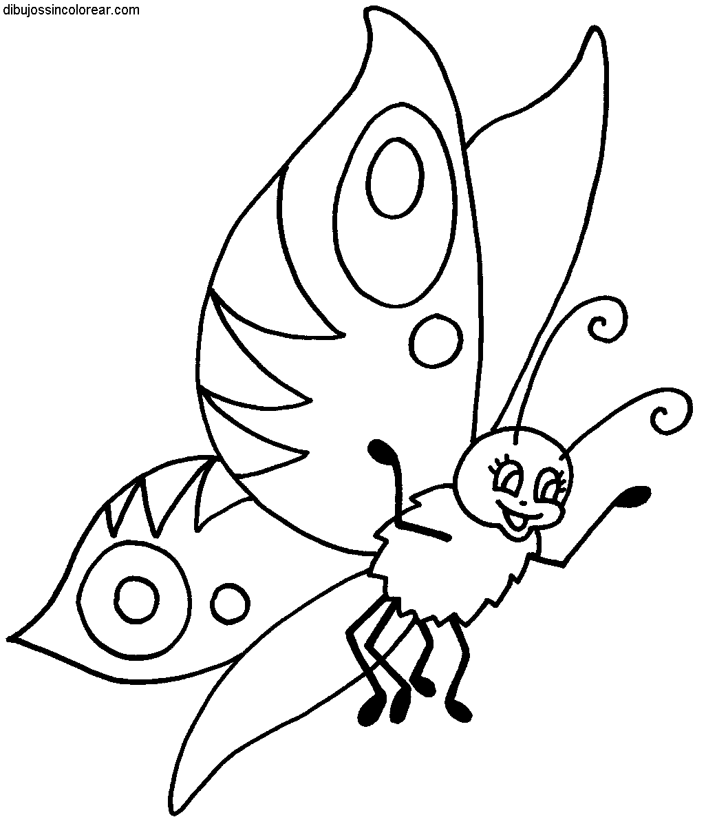 mariposas volando dibujos para colorear MEMES Pictures