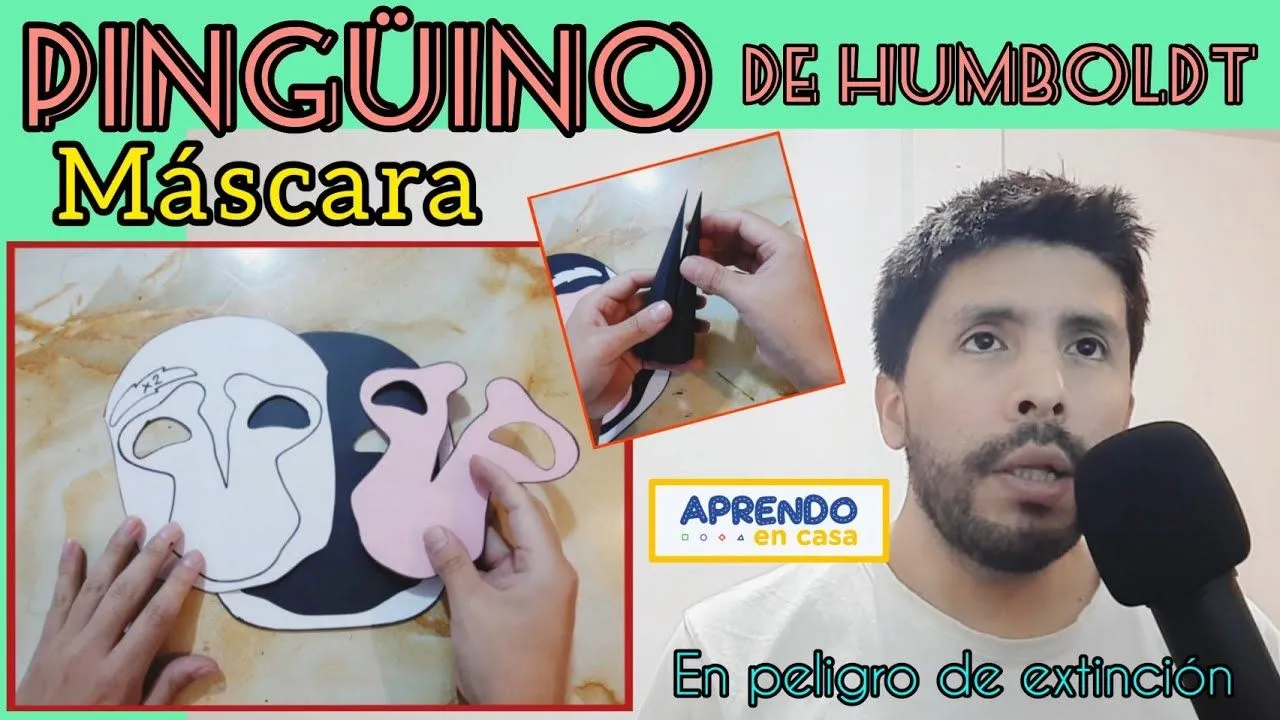 Máscara de Pingüino de Humboldt / Aprendo En Casa - YouTube