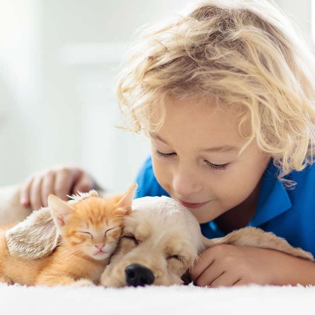 Mascotas y niños: todos los pros y contras según la especie