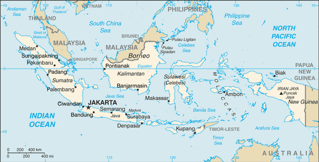 Matrículas de Indonesia.
