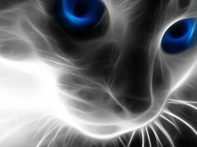 La mayoría de los gatos blancos con ojos azules son sordos, a no ser ...