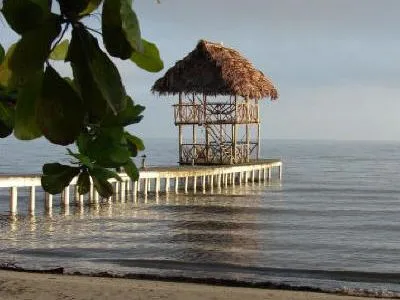 Medida Global: Huellas en América: Lugar de muchos Árboles Medida Global: Huellas en América: Lugar de muchos Árboles