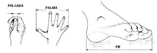 medidas.JPG medidas.JPG