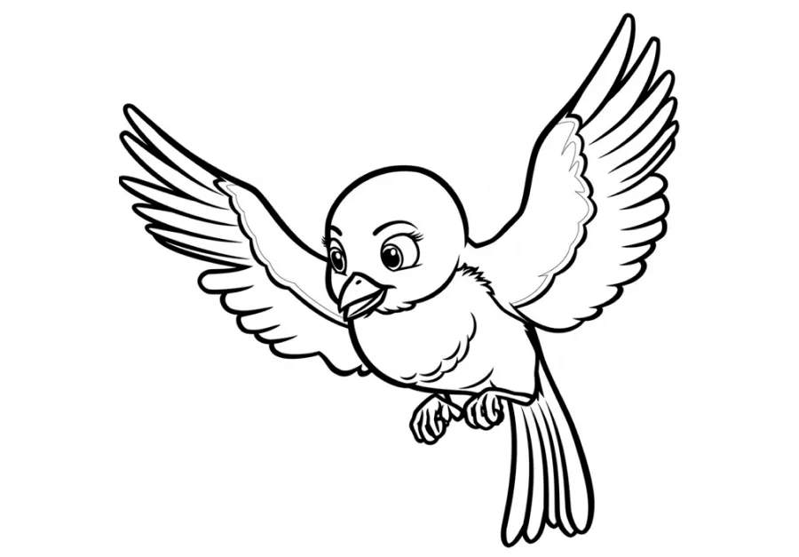 ▷ Los Mejores Dibujos de Pájaros para colorear ☀️