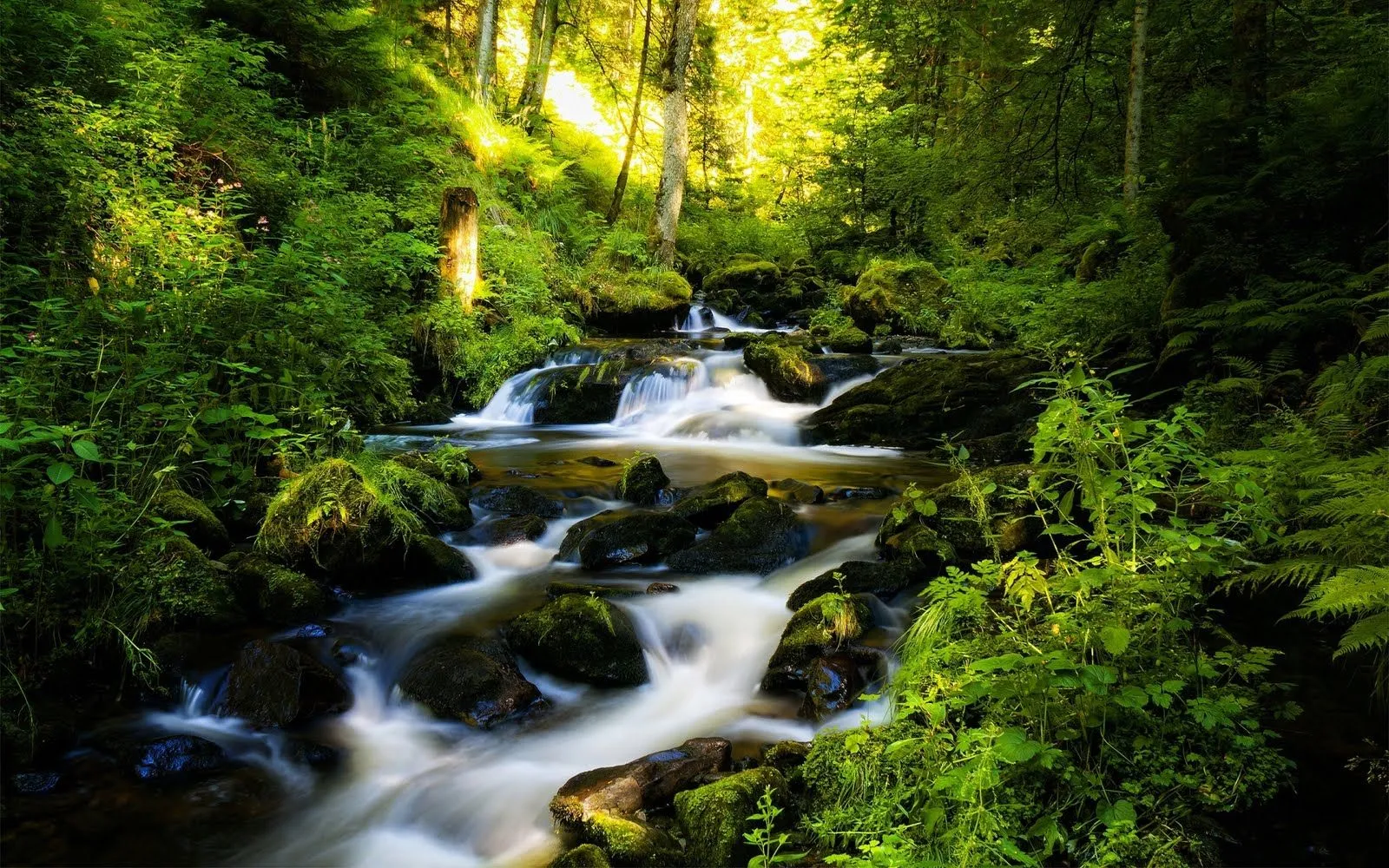 Las mejores imágenes de paisajes naturales XII (7 fotos) | Banco ... Las mejores imágenes de paisajes naturales XII (7 fotos) | Banco ...