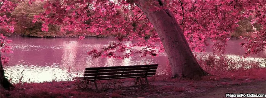 Bosque de color rosa - ÷ Las Mejores Portadas para tu perfil de ...