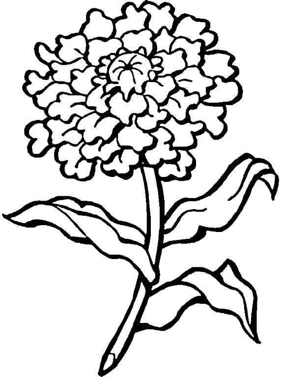 meluxx23: dibujos de flores para colorear en linea