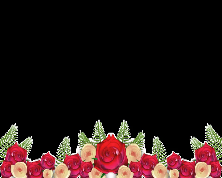 Fondos png de rosas - Imagui