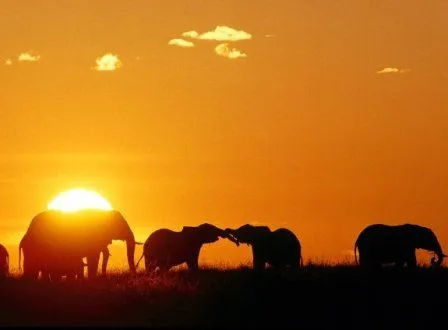 MEMORIAS DE ÁFRICA | El cuaderno de poemas de Rubén Lapuente MEMORIAS DE ÁFRICA | El cuaderno de poemas de Rubén Lapuente