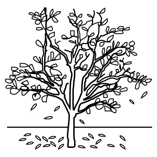 Como dibujar arboles secos - Imagui