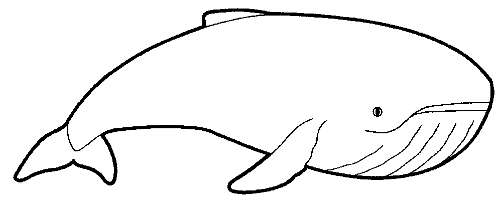 Menta Más Chocolate - RECURSOS PARA EDUCACIÓN INFANTIL: Dibujos ... Menta Más Chocolate - RECURSOS PARA EDUCACIÓN INFANTIL: Dibujos ...