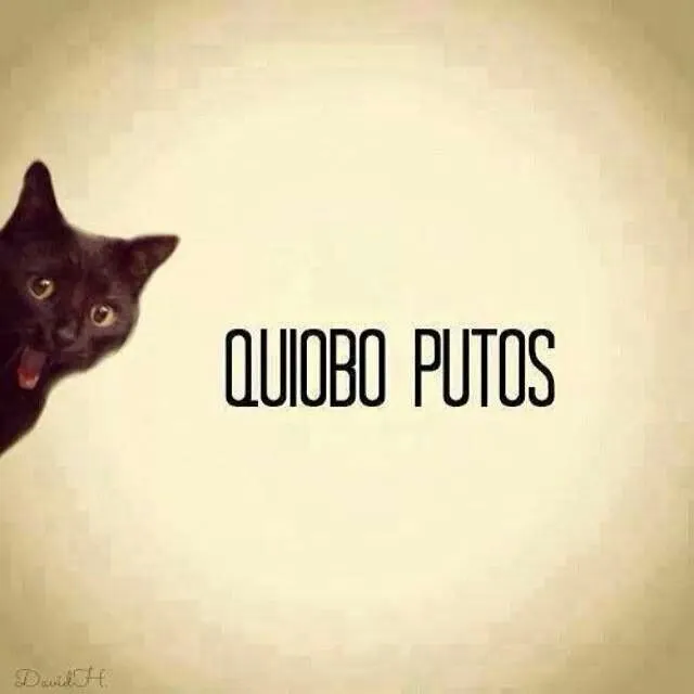quibo putos! @Adriana Tapia Gustav! | .quotes.words. | Pinterest
