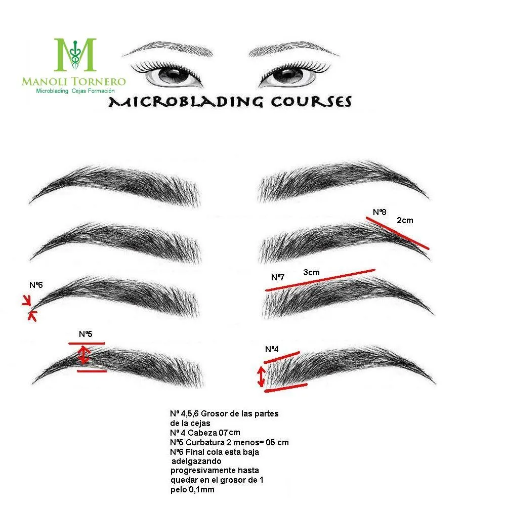 X 上的 Microblading Curso：「Curso Microblading Dibujos de cejas varios diseños  pelo a pelo y medidas Sevilla ,solicita información 954519073  https://t.co/tHAw1sT7Nr」 / X