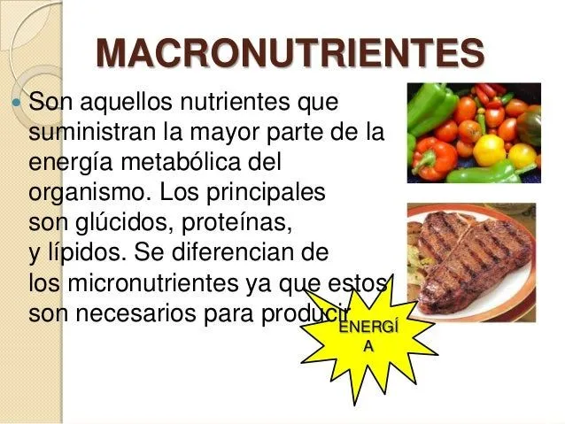 micronutrientes-y- ...