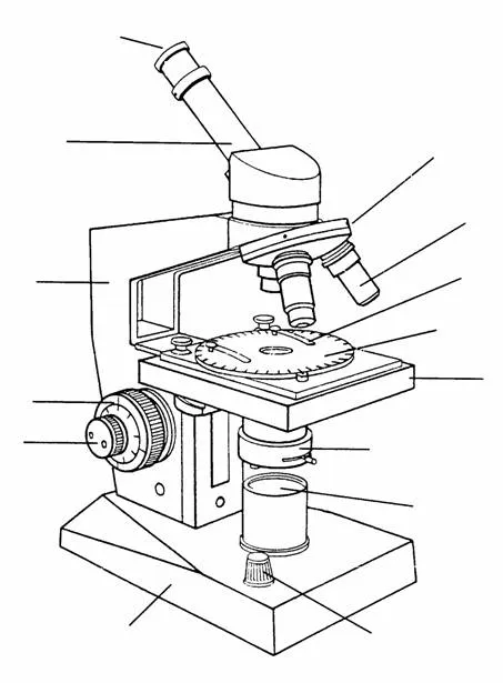 Microscopio y sus partes facil de dibujar - Imagui