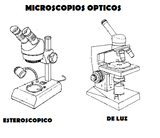 Microscopios para dibujar fáciles - Imagui
